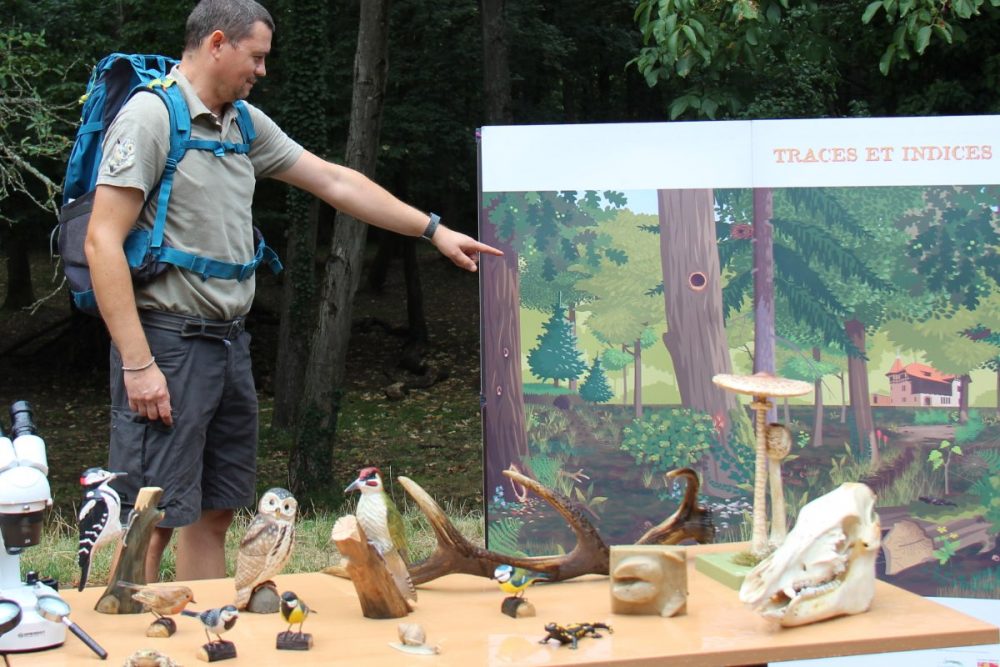 JEU DE PISTE EN FORÊT